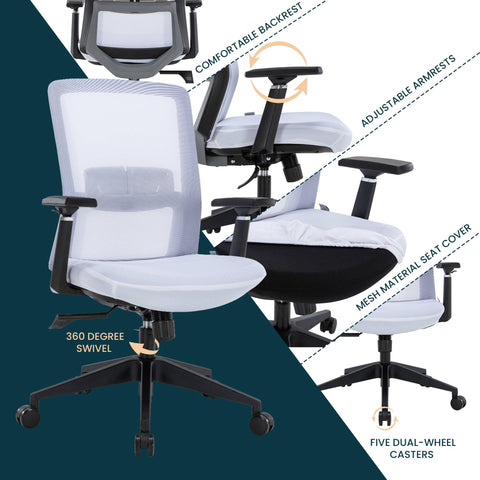 Ingram Ergonomic Modern Office Mesh Task Chair With Adjustable Height