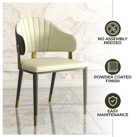 Aria Leather Dining Chair with a Curved Back and Gold Accents Design in Iron Set of 2