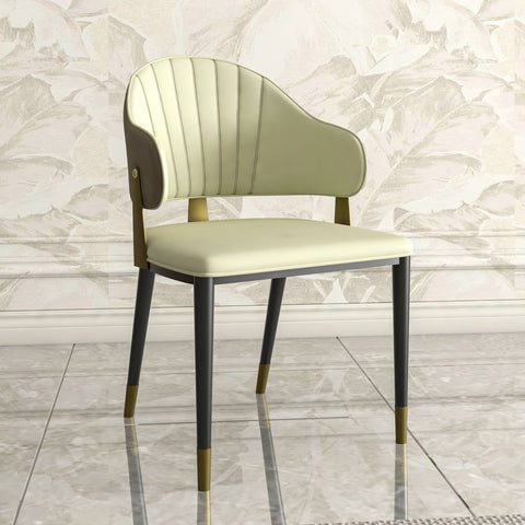 Aria Leather Dining Chair with a Curved Back and Gold Accents Design in Iron Set of 2