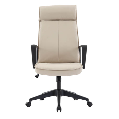 Aiaria Ergonomic High-Back Leather Office Chair with Adjustable Height, Swivel, Tilt, and Double Wheel Casters