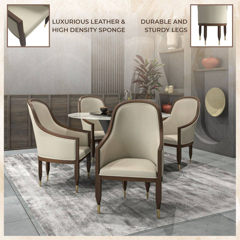 Belle Leather Dining Chair with Arms and Gold Metal Caps with Rubberwood Frame and Legs Set of 2