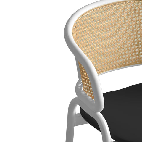 Ervilla Modern Dining Chair with White Frame and Steel Legs