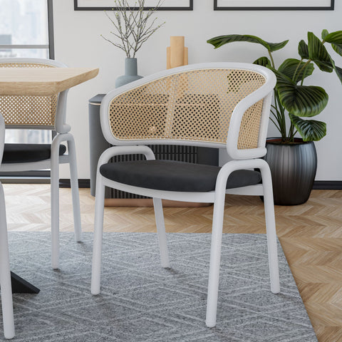 Ervilla Modern Dining Chair with White Frame and Steel Legs