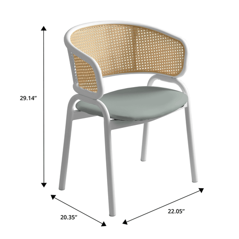 Ervilla Modern Dining Chair with White Frame and Steel Legs