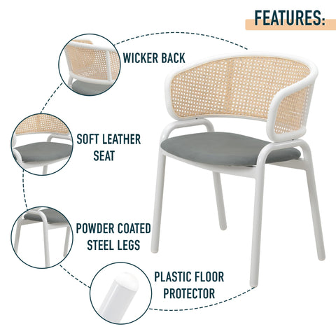 Ervilla Modern Dining Chair with White Frame and Steel Legs