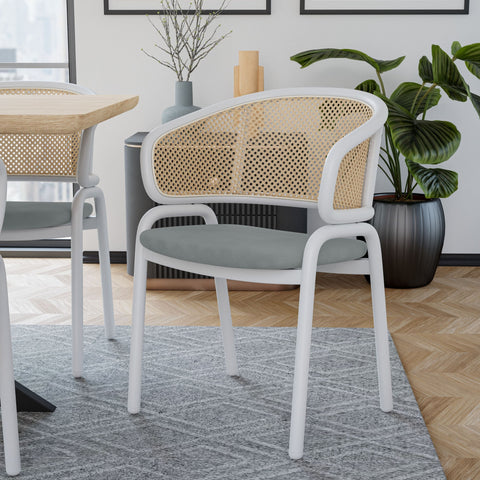 Ervilla Modern Dining Chair with White Frame and Steel Legs