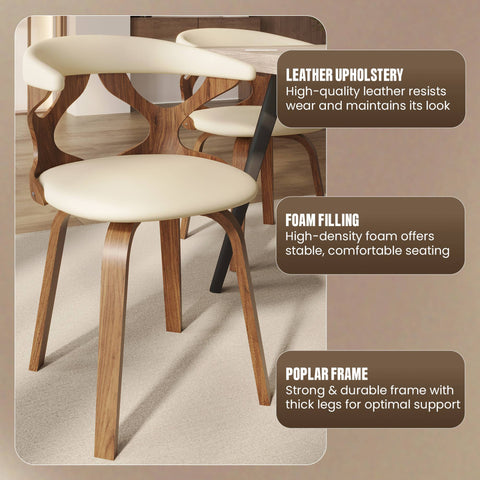 Klyne Modern Wooden Dining Chair With Walnut Color Frame