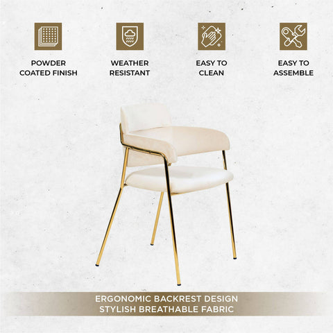 Axis Upholstered Dining Chairs Curved Open-Back & Gold Legs Set of 4