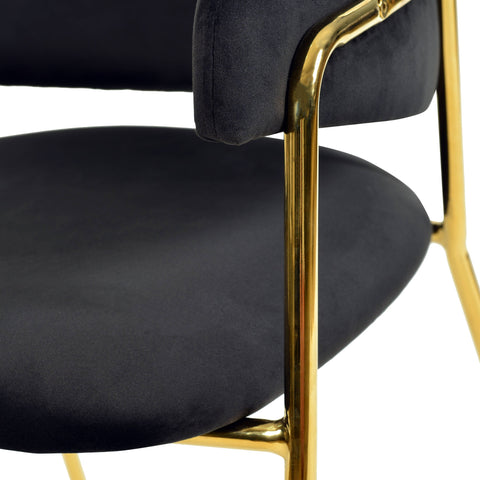 Axis Upholstered Dining Chairs Curved Open-Back & Gold Legs Set of 2