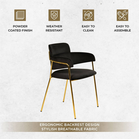 Axis Upholstered Dining Chairs Curved Open-Back & Gold Legs Set of 2