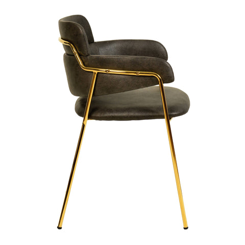 Axis Upholstered Dining Chairs Curved Open-Back & Gold Legs Set of 4