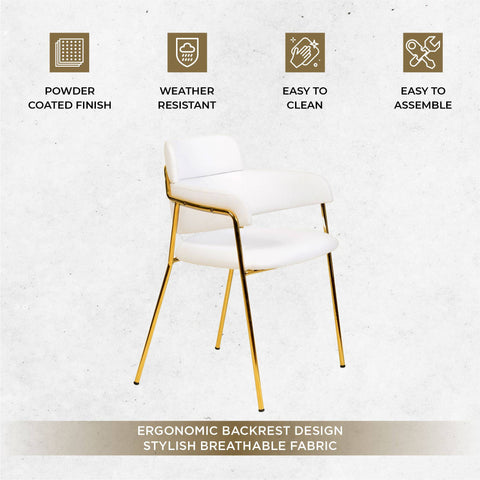 Axis Upholstered Dining Chairs Curved Open-Back & Gold Legs Set of 2