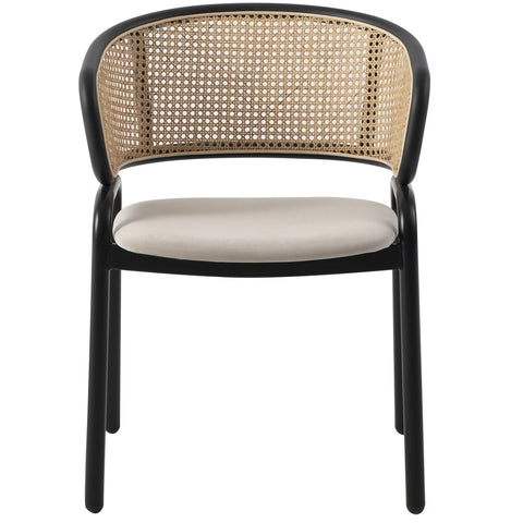 Ervilla Mid Century Modern Dining Chair With Stainless Steel Legs Velvet Seat and Wicker Back, Set of 2