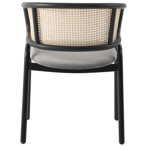 Ervilla Mid Century Modern Dining Chair With Stainless Steel Legs Velvet Seat and Wicker Back, Set of 2