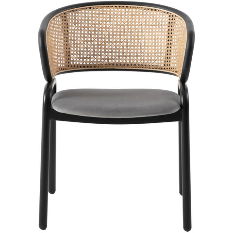 Ervilla Mid Century Modern Dining Chair With Stainless Steel Legs Velvet Seat and Wicker Back, Set of 2