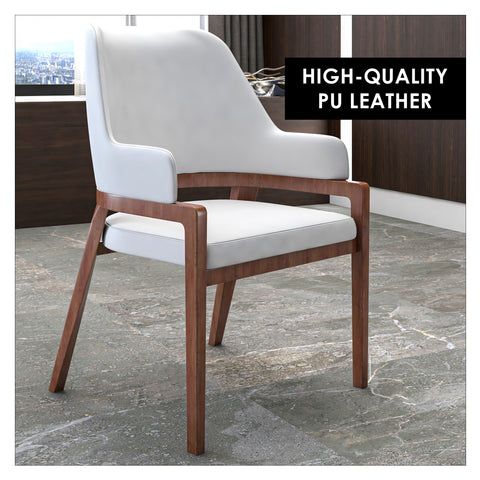 Ethora Leather Dining Chair: Upholstered, Curved Open-Back & Rubberwood Frame Set of 2