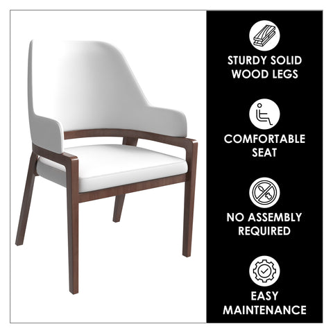 Ethora Leather Dining Chair: Upholstered, Curved Open-Back & Rubberwood Frame Set of 2