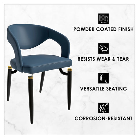 Entice Dining Chairs Upholstered Leather Seat and Curved Back in Black Iron Legs