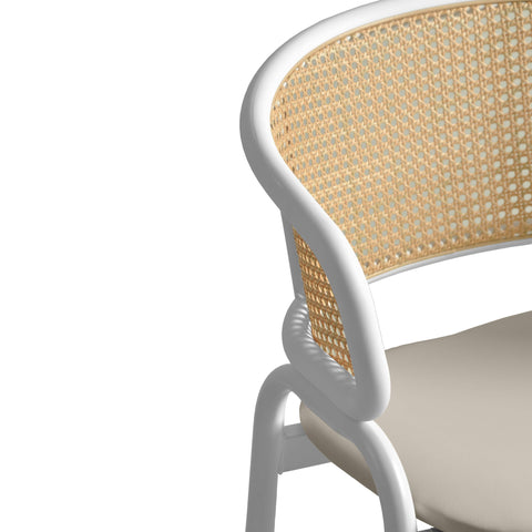 Ervilla Modern Dining Chair with White Frame and Steel Legs