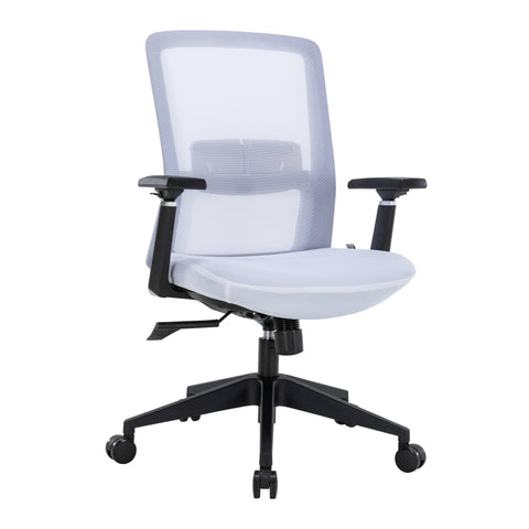 Ingram Ergonomic Modern Office Mesh Task Chair With Adjustable Height