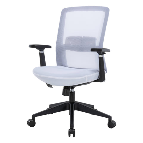 Ingram Ergonomic Modern Office Mesh Task Chair With Adjustable Height