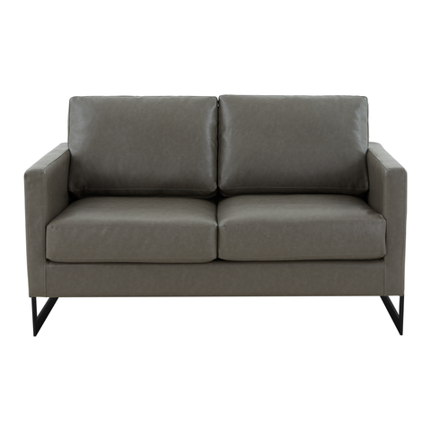 Lincoln Velvet/Leather Upholstered Loveseat with Gold/Black/Silver Steel Frame & Removable Cushions