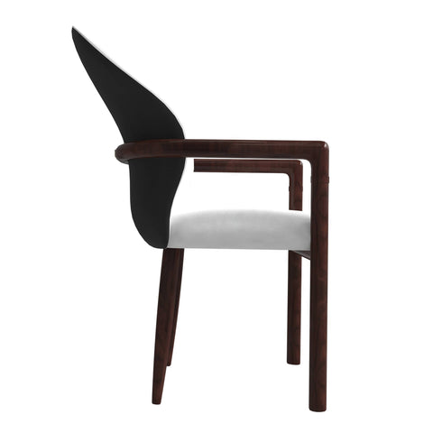 Opaline Dining Chair in Velvet or Leather Upholstery with Rubberwood Frame with Gold Accents Set of 2