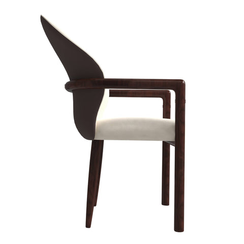 Opaline Dining Chair in Velvet or Leather Upholstery with Rubberwood Frame with Gold Accents Set of 2