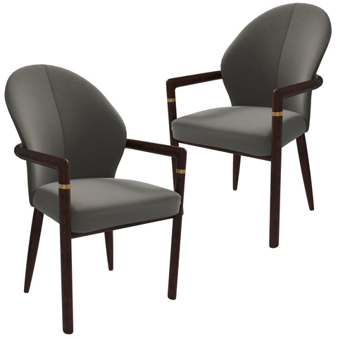 Opaline Dining Chair in Velvet or Leather Upholstery with Rubberwood Frame with Gold Accents Set of 2