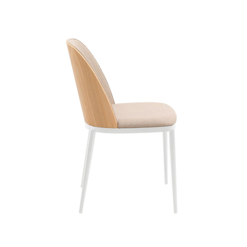 Tule Dining Side Chair with Upholstered Seat and Powder-Coated Steel Frame