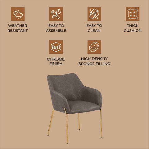 Zaire Upholsters Dining Chair in Velvet/Leather/Boucle with Gold Chrome Iron