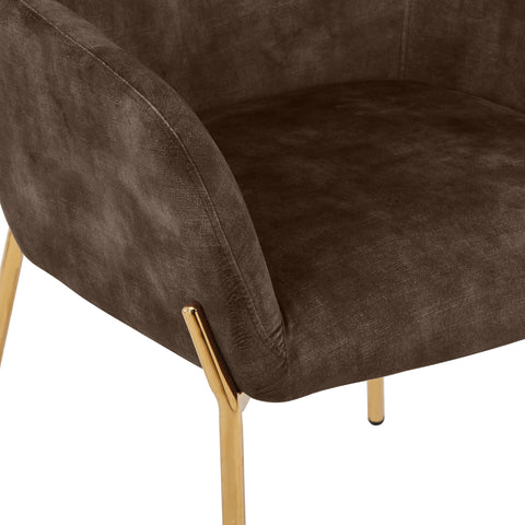 Zaire Upholsters Dining Chair in Velvet/Leather/Boucle with Gold Chrome Iron