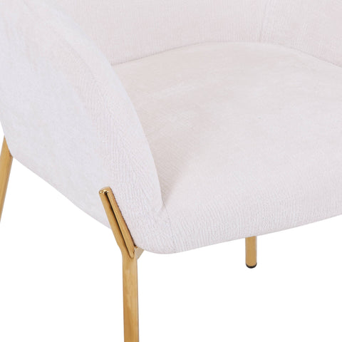 Zaire Upholsters Dining Chair in Velvet/Leather/Boucle with Gold Chrome Iron